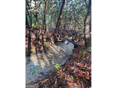 Hollman Hollow Farms is a 38.6 acre parcel located in - photo 30