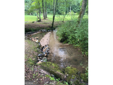 Hollman Hollow Farms is a 38.6 acre parcel located in - photo 33