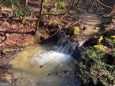 Hollman Hollow Farms is a 38.6 acre parcel located in - photo 35