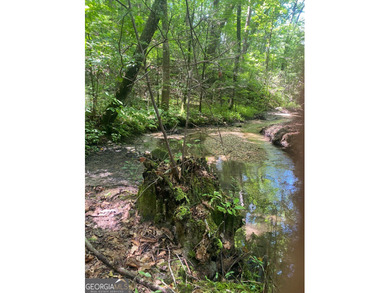 Hollman Hollow Farms is a 38.6 acre parcel located in - photo 36