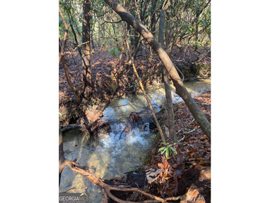 Hollman Hollow Farms is a 38.6 acre parcel located in - photo 37