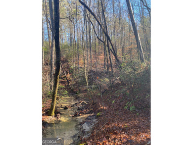 Hollman Hollow Farms is a 38.6 acre parcel located in - photo 38