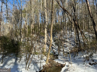 Hollman Hollow Farms is a 38.6 acre parcel located in - photo 39