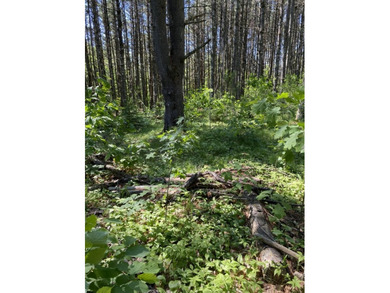 4 lots that combined make a beautiful 1 acre lot for full - photo 1