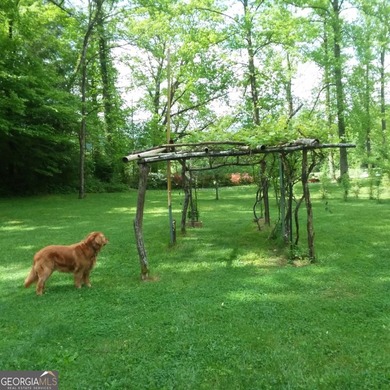 Hollman Hollow Farms is a 38.6 acre parcel located in - photo 41