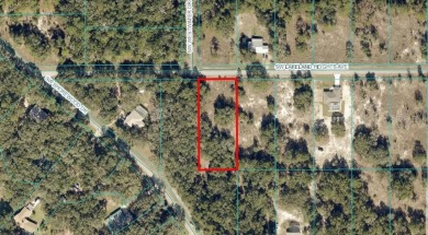 Lake Lot For Sale in Dunnellon, Florida