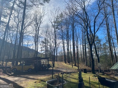 Hollman Hollow Farms is a 38.6 acre parcel located in - photo 48