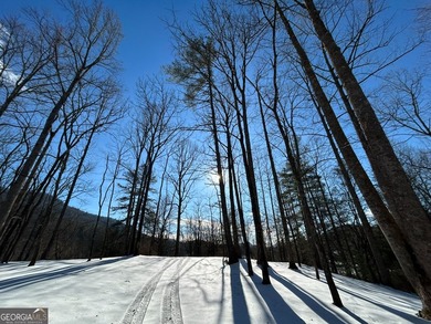 Hollman Hollow Farms is a 38.6 acre parcel located in - photo 50