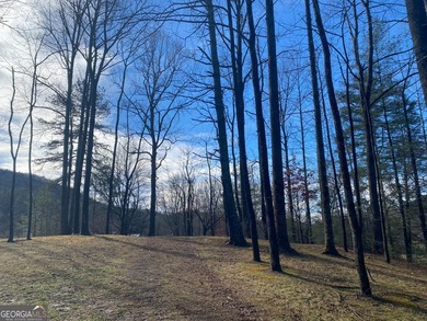 Hollman Hollow Farms is a 38.6 acre parcel located in - photo 51
