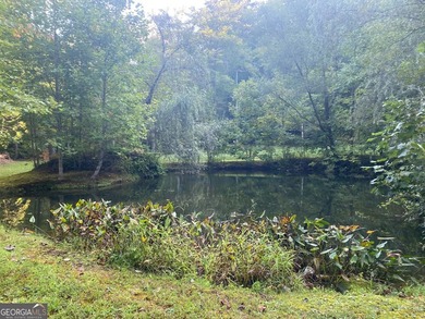 Hollman Hollow Farms is a 38.6 acre parcel located in - photo 53