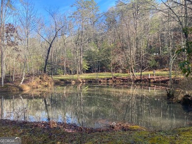 Hollman Hollow Farms is a 38.6 acre parcel located in - photo 55