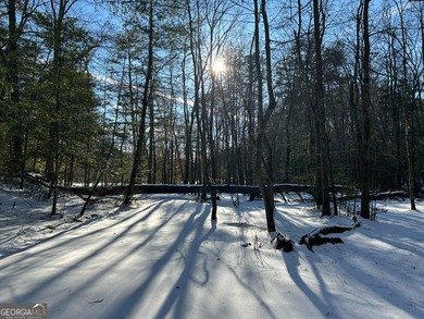 Hollman Hollow Farms is a 38.6 acre parcel located in - photo 59