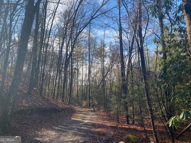 Hollman Hollow Farms is a 38.6 acre parcel located in - photo 60