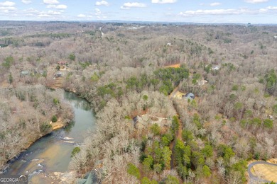 Chattahoochee River - White County Lot For Sale in Cornelia Georgia