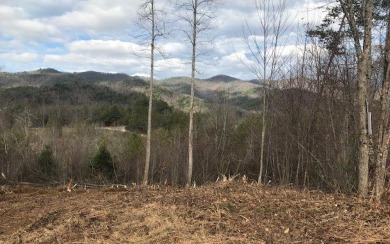Hiwassee River - Clay County Acreage For Sale in Hayesville North Carolina