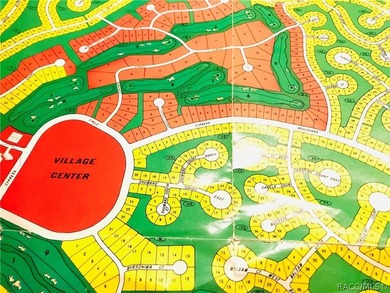 Premium estate home site in Cypress Village at Sugarmill Woods - photo 1