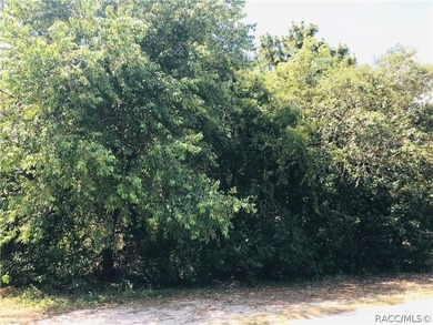 Premium estate home site in Cypress Village at Sugarmill Woods - photo 2