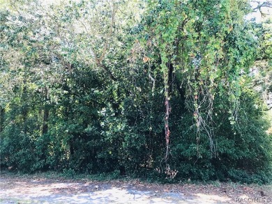 Premium estate home site in Cypress Village at Sugarmill Woods - photo 6