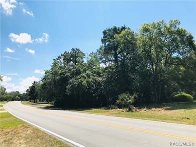 Premium estate home site in Cypress Village at Sugarmill Woods - photo 7