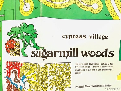 Premium estate home site in Cypress Village at Sugarmill Woods - photo 9
