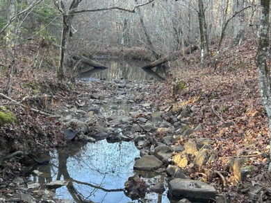 Lake Greeson Acreage For Sale in Newhope Arkansas