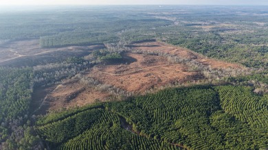 This 120.15+/- acre recreational property in Pike County - photo 2
