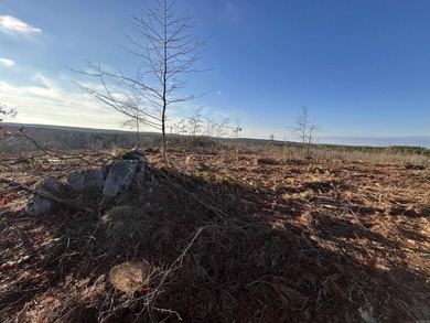 This 120.15+/- acre recreational property in Pike County - photo 3