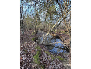 This 120.15+/- acre recreational property in Pike County - photo 4