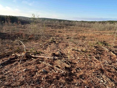 This 120.15+/- acre recreational property in Pike County - photo 6