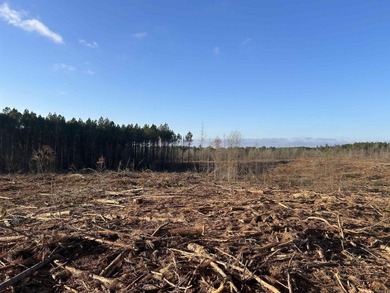 This 120.15+/- acre recreational property in Pike County - photo 7