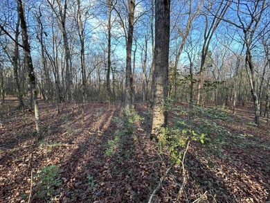 This 120.15+/- acre recreational property in Pike County - photo 8