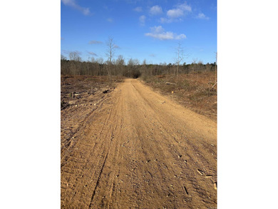This 120.15+/- acre recreational property in Pike County - photo 9