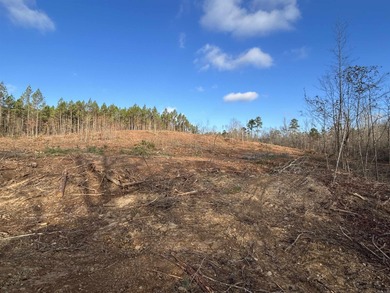 This 120.15+/- acre recreational property in Pike County - photo 10