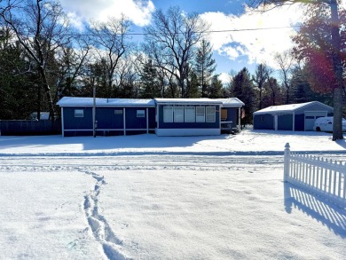 Lake Home For Sale in Baldwin, Michigan