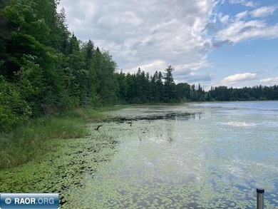 This beautiful woodsy getaway is perfect for the nature lover - photo 11