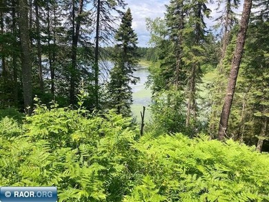 This beautiful woodsy getaway is perfect for the nature lover - photo 15