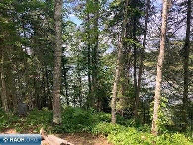 This beautiful woodsy getaway is perfect for the nature lover - photo 17