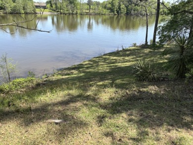 Fine Camp on 260' of Beautiful Bushley Bayou - photo 7