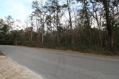 Beautiful buildable 1 acre lot featuring dry creek bed (see - photo 2