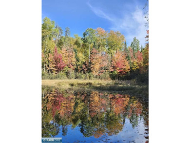 This beautiful woodsy getaway is perfect for the nature lover - photo 23