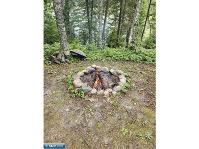This beautiful woodsy getaway is perfect for the nature lover - photo 24
