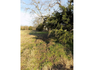 Lake Fork Lot For Sale in Emory Texas