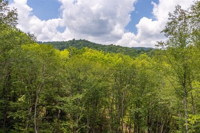 Step into peace and tranquility in this spacious new - photo 32