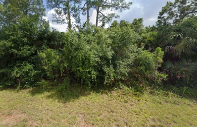 Northport Waterway Lakes and Canals Lot For Sale in North Port Florida