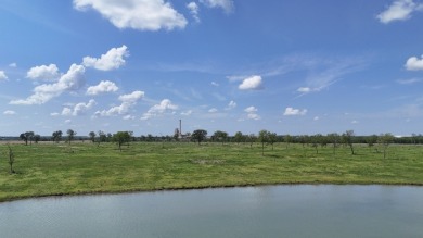 177 Ft of Shoreline on Lake Halbert! Ready to Build Site! - photo 5
