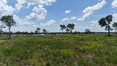 177 Ft of Shoreline on Lake Halbert! Ready to Build Site! - photo 17