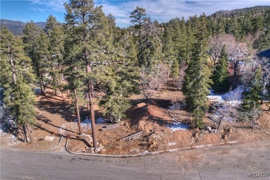 Pre-sale new construction in The Pines, Big Bear Lake's premier - photo 7