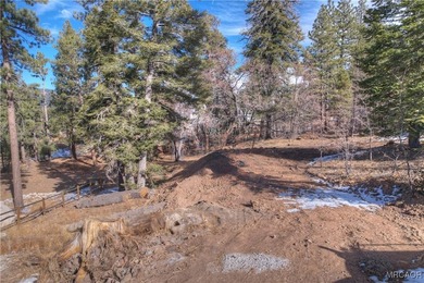 Pre-sale new construction in The Pines, Big Bear Lake's premier - photo 10
