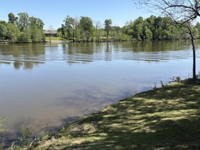 Fine Camp on 260' of Beautiful Bushley Bayou - photo 6
