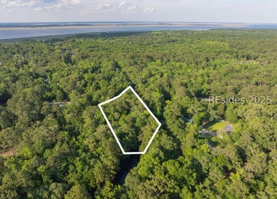 (private lake, pond, coastal) Lot For Sale in Beaufort South Carolina